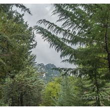Paisaje Rural. Un proyecto de Fotografía de joan_claramonte - 07.07.2014