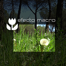 Efecto MACRO en fotografía. . Photograph project by Nowe Creative Formación y Diseño - 07.13.2014