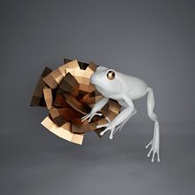 Floating animals. Un proyecto de 3D, Diseño, Diseño de personajes y Diseño de producto de Diego García Carpintero - 01.01.2014