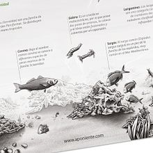 Carta Restaurante Aponiente. Design, and Graphic Design project by LeBranders Global Design Solutions - 07.10.2014