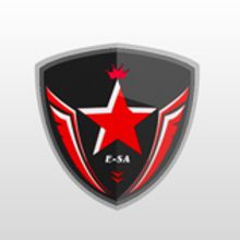 Electronic Sports Academy. Graphic Design project by Goner STUDIO - 07.11.2014