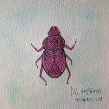 Pinky beetle!  . % María Contreras tarafından hazırlanan Sanat ve El Sanatları, Güzel sanatlar, Tasarım, Geleneksel illüstras, on, Ve Tablo projesi - 07.12.2014