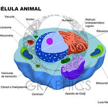 Ilustración científica. Un proyecto de Ilustración tradicional de Q Graphics Studio - 14.07.2014