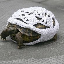 Tortuga ganchillo Arco. Projekt z dziedziny Craft użytkownika Alícia Roselló Gené - 14.07.2011