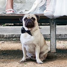 Jessica Marasovic Photo Video Creative // Weddings Promo Image . Advertising, and Photograph project by Jessica Marasovic PHOTO VIDEO CREATIVE - 07.15.2014