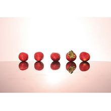 fotos fresas . Photograph project by Nitzia Venegas Torres - 07.16.2014