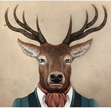 Colección Animalaria - ciervo. Design, Character Design, and Traditional illustration project by Jose Luis Oliver Campoy - 07.16.2014