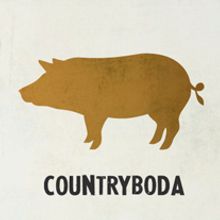 Countryboda. Graphic Design, Events, and Traditional illustration project by Heroine Studio - 07.21.2014
