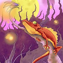 Cocoleon. Un proyecto de Ilustración tradicional y Pintura de Rojo Martínez - 22.07.2014