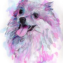 Retrato Lupita (perrita pomerania) · acuarela. Fine Arts, Traditional illustration, and Painting project by Natalia Vallès López - 06.08.2013
