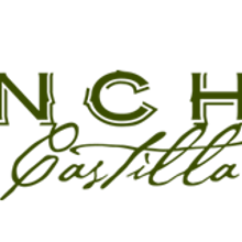 Campaña Ficticia Ancha Castilla. Graphic Design, and Web Design project by Miguel Angel Alvarez Fernandez - 07.21.2014