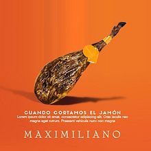 Maximiliano. Graphic Design, and Web Design project by Alberto Mateo Rodríguez - 08.04.2014