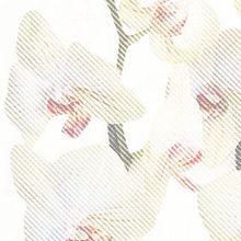 Carteles para la campaña 'Be Inspired' de Converse. Un proyecto de Diseño gráfico de Matteo Predari - 18.08.2014