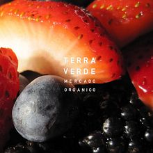 Terra Verde. Br, ing & Identit project by Laura Del Rio - 02.21.2014