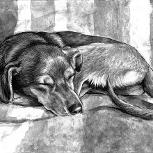 Durmiendo en sofá. Traditional illustration project by Alex Ideo - 08.23.2014
