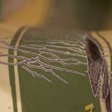 Nuevo proyecto : Resilencia. El poder de la adaptación, nos hace ser quienes somos.. Projekt z dziedziny Fotografia użytkownika griselda-1 - 26.08.2014