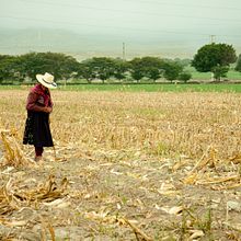 Travels. Architecture, Events, and Photograph project by Verónica Leonetti - 08.27.2014
