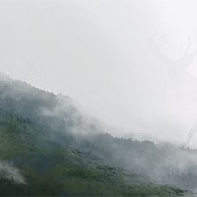 Natura Ein Projekt aus dem Bereich Bildende Künste, Traditionelle Illustration und Malerei von Jaime Sanjuan Ocabo - 28.08.2014