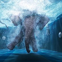 Elefante. Un progetto di 3D e Fotografia di Alex Carabí - 31.08.2014