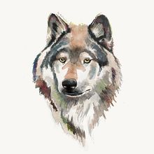 Wolf (Study) Ein Projekt aus dem Bereich Bildende Künste und Traditionelle Illustration von Mentiradeloro Esther Cuesta - 31.08.2014