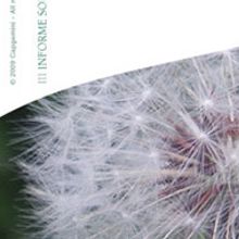 Informe Capgemini. Art Direction, Graphic Design, Photograph, and Editorial Design project by Babalua - 02.10.2009