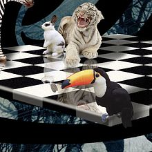 Blanco y negro. Projekt z dziedziny Projektowanie graficzne i Fotografia użytkownika papa papa - 01.09.2014