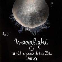Moonlight. Un progetto di Br, ing, Br, identit, Graphic design, Eventi e Tipografia di María S. Sánchez-Ibargüen - 31.08.2012