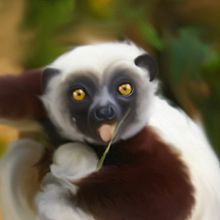 lemur. Een project van  Beeldende kunst y Grafisch ontwerp van papa papa - 02.09.2014