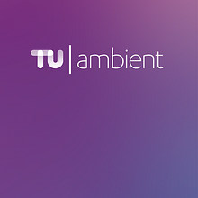 TU Ambient. Graphic Design, Interactive Design, Design, Information Design, and UX / UI project by Beatriz Ulldemolins Anglés - 09.03.2014