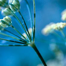 Wallpaper. Een project van Fotografie van Marina Fernández Zambrano - 16.10.2016