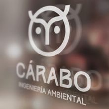 Identidad visual para Cárabo Ingeniería Ambiental. Br, ing, Identit, Graphic Design, and Advertising project by Nairobi Estudio - 09.16.2014