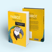 Book Cover Design. Design project by Laura Del Rio - 04.17.2014
