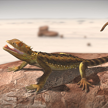 Juancho. Un projet de 3D, Animation, Conception de personnages, Sculpture , et Postproduction photographique de Verónica Graes - 09.07.2014