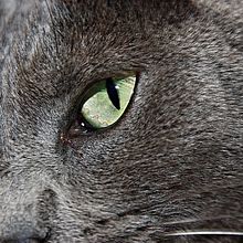 Fotografías. Un projet de Photographie de Abigail Oliete - 18.09.2014