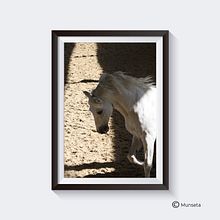 Expo fotos. Un proyecto de Bellas Artes, Diseño, Fotografía y Publicidad de Montse Barcons - 19.09.2014