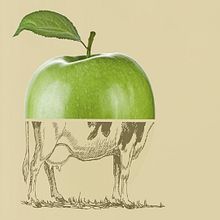 Agrosiero. Br, ing, Identit, Design, Graphic Design, Traditional illustration, and Advertising project by Jorge Lorenzo - 09.22.2014
