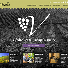 Web corporativa (diseño personalizado y desarrollo del tema en Wordpress): Vinalia Ein Projekt aus dem Bereich Webentwicklung, Informationsdesign, Webdesign, Designverwaltung und Informatik von Manuel Ortiz Domínguez - 23.09.2014