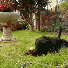 Esta animacion es una mala influencia para su amigo Laro. Animation project by Luis Alberto Saiz Herron - 09.25.2014