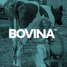Bovina™. Br, ing & Identit project by Joaquín Gómez Gálvez - 09.17.2014