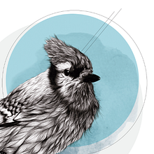 Furry Bird//. Traditional illustration project by Lucía Paniagua - 09.30.2014