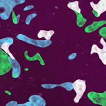 Amebas projection. Animation, and Motion Graphics project by Francesc Risalde - 10.01.2014