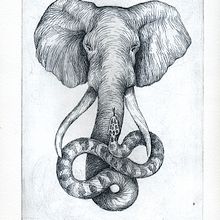 "Bestiario" - Aguafuertes. Fine Arts, and Traditional illustration project by Celeste Ciafarone - 03.31.2014