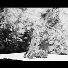 Disconnect. Film, Video, and TV project by Marisa Folgado - 06.30.2013