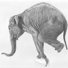 DIBUJOS. Un projet de Beaux Arts de MANUEL DOMÍNGUEZ SÁNCHEZ - 02.10.2014