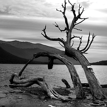 Ushuaia Tierra de Fuego. Argentina (2005). Fine Arts, Graphic Design, Photograph, Traditional illustration, and Painting project by Chicote CFC - "Simbiosismo / Symbiotic Art - 10.02.2014