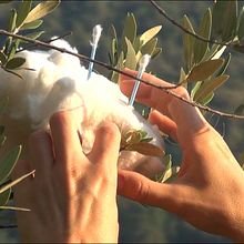 Stop motion, Montañas o nubes... . % Nadia Engelhard tarafından hazırlanan Animas, Ve on projesi - 10.02.2014