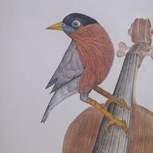 Ilustraciones. Traditional illustration project by Adriana Fernandes Sánchez - 10.06.2014