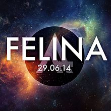 Promo Alfenic - Felina. Een project van  Br, ing en identiteit,  Ontwerp, Grafisch ontwerp,  Muziek, Fotografische postproductie, T y pografie van Guillem Martín Murillo - 19.06.2014