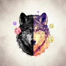 Wolf . Un progetto di Design, Graphic design e Illustrazione tradizionale di Jose Gallardo Bernal - 08.10.2014