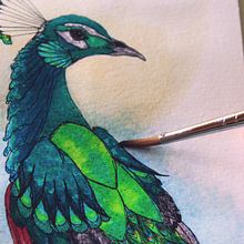 Pavo Real. Fine Arts, Design, and Traditional illustration project by Vanesa Santamaría Trinidad - 10.08.2014